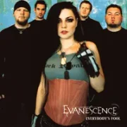 Everybody's fool - Evanescence