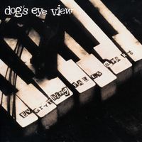 Everything falls apart - Dog's eye view