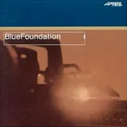 Evo - Blue foundation