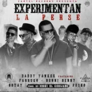 Experimentan La Perse - Daddy Yankee