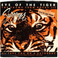 Eye of the tiger - Survivor