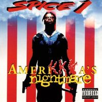 Face of a desperate man - Spice 1