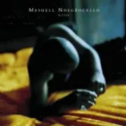 Faithful - Me'shell ndegeocello