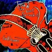 Fall down - Toad the wet sprocket