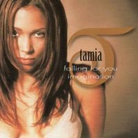 Falling for you - Tamia