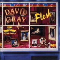 Falling free - David gray