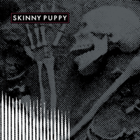 Far too frail - Skinny puppy