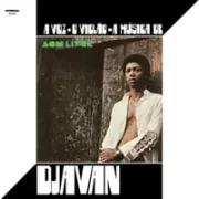 Fato consumado - Djavan