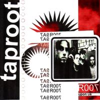 Fear to see - Taproot