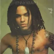 Fields of joy - Lenny kravitz