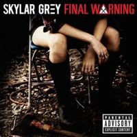 Final Warning - Skylar Grey