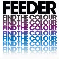 Find the colour - Feeder