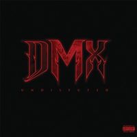 Fire - DMX