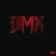 Fire - DMX