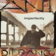 Fixing her hair - Ani difranco