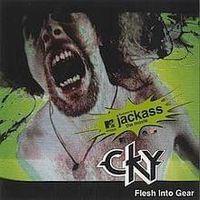 Flesh into gear - Cky