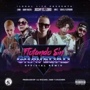 Flotando Sin Gravedad (Remix) ft. Sou El Flotador, Baby Rasta, Lyan & Jon Z - Esto Es Alem