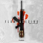 Flow Asesino - Fuego