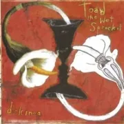 Fly from heaven - Toad the wet sprocket