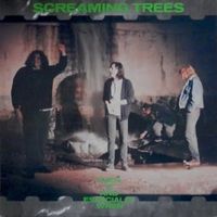 Flying - Screaming trees