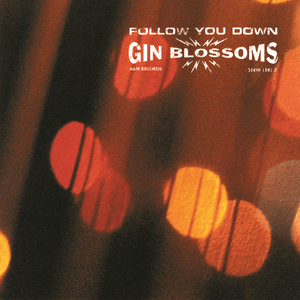 Follow you down - Gin blossoms