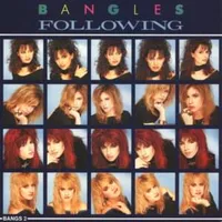 Following - The bangles