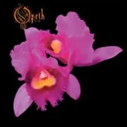 Forest of october - Opeth