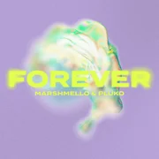 Forever ft. ​pluko - Marshmello