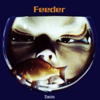 Forgiven - Feeder