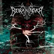 Four element synchronicity - Borknagar