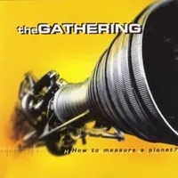 Frail (you might as well be me) - The gathering