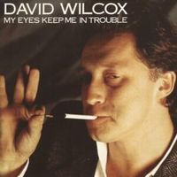 Freeze to me - David wilcox