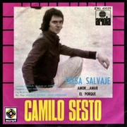 Fresa Salvaje - Camilo Sesto