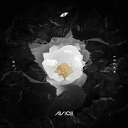 Friend of Mine ft. Vargas & Lagola - Avicii