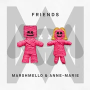 FRIENDS ft. Anne-Marie - Marshmello