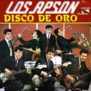 Fue en un cafe - Los apson