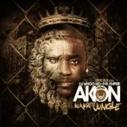 Get By - Akon