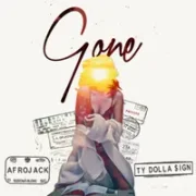 Gone - Afrojack