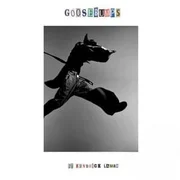 goosebumps ft. Kendrick Lamar - Travis Scott