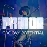 Groovy Potential - Prince
