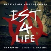 Halo - Mgk