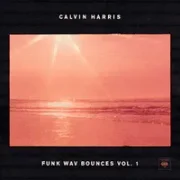 Hard To Love - Calvin Harris