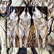 Harvest Moon - $uicideboy$