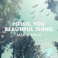 Hello, You Beautiful Thing - Jason Mraz