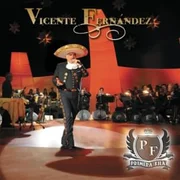 Hermoso Cariño (En Vivo) - Vicente Fernández