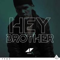 Hey Brother - Avicii