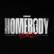 Homebody (Remix) ft. Moneybagg Yo & BossMan Dlow - Rob49