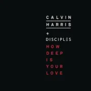 How Deep Is Your Love - Calvin Harris