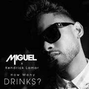 How Many Drinks? (Remix) ft. Kendrick Lamar - Miguel