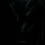 Hydra - Orbit Culture